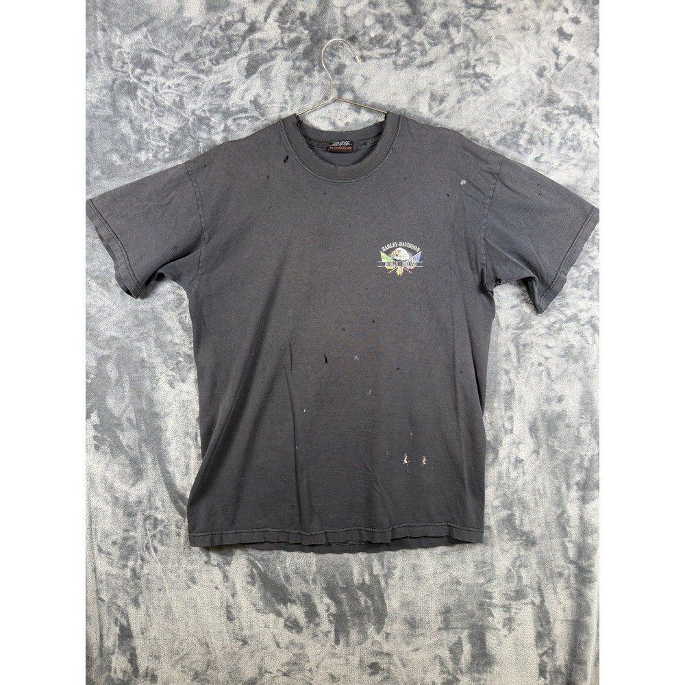 Harley-Davidson Shirt Mens L Gray Dublin Ireland Eagle Flag Graphic Vintage